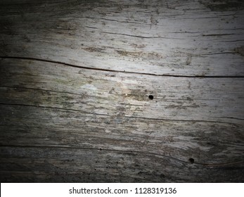 Driftwood Closeup/ Aged Wood Texture Background