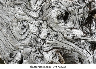 driftwood closeup background