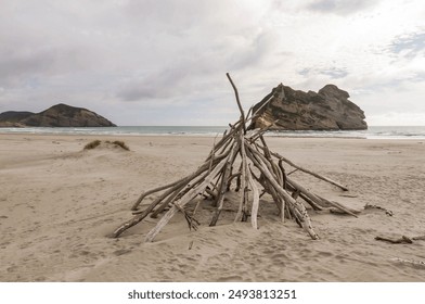 
Driftwood drying  on the beach - Powered by Shutterstock