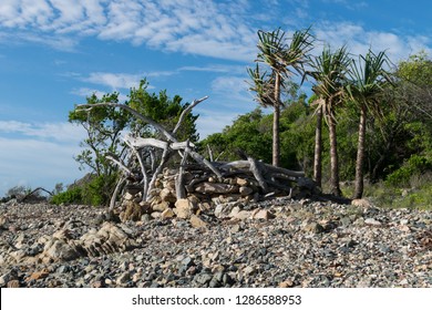 Driftwood Hut, On A Rocky Beach, Whitsundays, Queensland