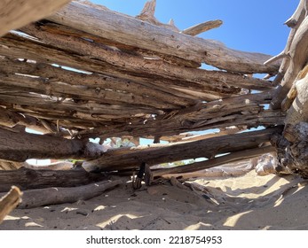 Driftwood Hut At Whitefish Point