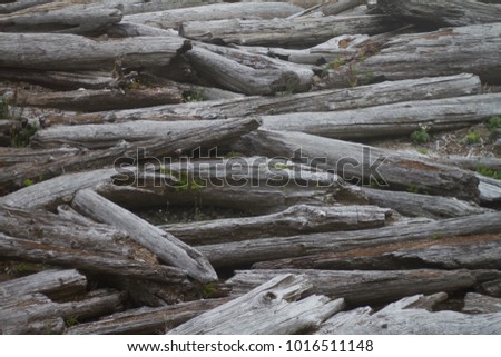 Driftwood Logjam at the Beach Stock photo © 