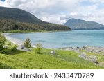 Driftwood logs on the beach in Chilkat State Park, Haines, Alaska, USA