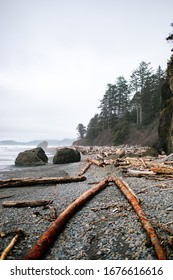 Driftwood Near The Cliffs On The Beach Of The Pacific Ocean. Pacific Northwest. Ruby Beach, WA. Logs Laying On The Shore Of The Northern Beach.