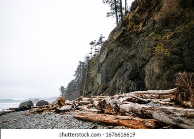 Driftwood Near The Cliffs On The Beach Of The Pacific Ocean. Pacific Northwest. Ruby Beach, WA. Logs Laying On The Shore Of The Northern Beach.