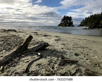 Driftwood On The Beach By Oceanshore