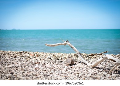 Driftwood On The Beach At Coral Beach In The Whitsundays, Queensland Australia