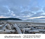 Driftwood on the beach at La Push First beach in the Quileute Oceanside resort