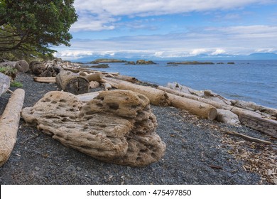 Driftwood On Beach On Nanaimo Vancouver Island British Columbia Canada In Summer