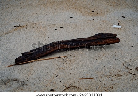 Driftwood on a beach on the New Jersey Shore
