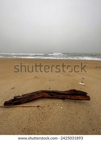 Driftwood on a beach on the New Jersey Shore