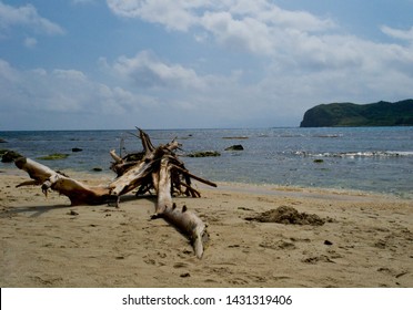 A Driftwood On The Beach Of Pagudpod, Ilocos Norte, Philippines