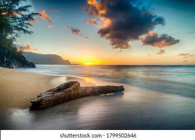 Driftwood On Beach At Sunset On North Shore Of Kauai  - Powered by Shutterstock