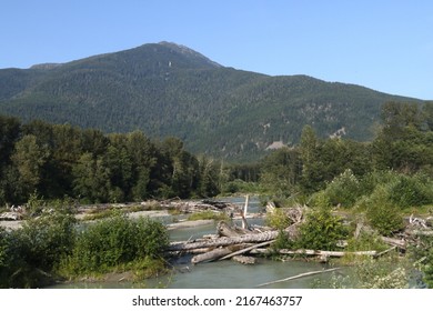 Driftwood On The Bella Coola River Near Bella Coola, British Columbia