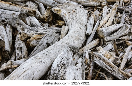 Driftwood On La Push, Olympic Peninsula, WA, USA.