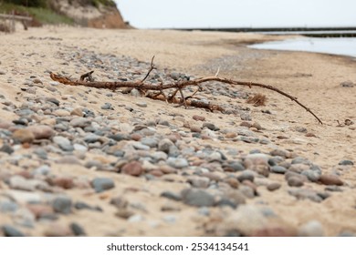 Driftwood on Rocky Beach Shoreline at Dusk Creating Serene Coastal Landscape - Powered by Shutterstock