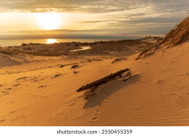 Driftwood on a sand dune as the sunset over Lake Michigan - Powered by Shutterstock