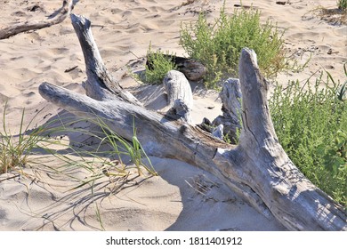 355 Plum island beach Images, Stock Photos & Vectors | Shutterstock