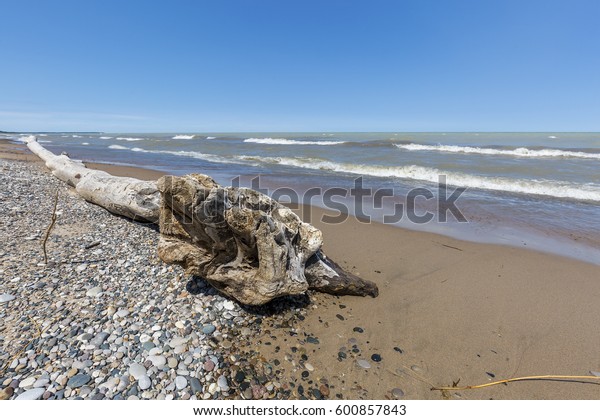 Driftwood Pebbles On Lake Huron Beach Stock Photo Edit Now