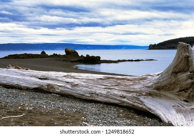 Driftwood, Peterson Bay, Kachemak Bay State Park, Alaska, USA