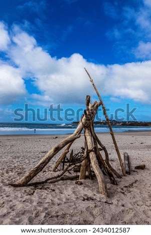 Driftwood Structure on a Sandy Beach Under a Blue Sky With Cumulus Clouds