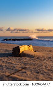 Driftwood At Sunrise Asbury Park Beach