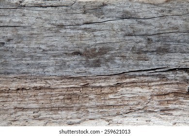 Driftwood Texture