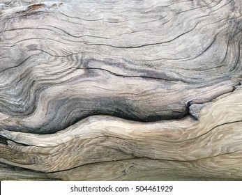 Driftwood Texture