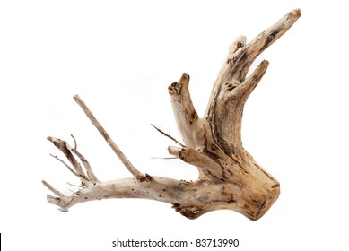 Driftwood Tree Stump On White Background