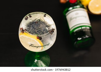 Drink Made With Gin Tonica Tanqueray And Bottle In The Background