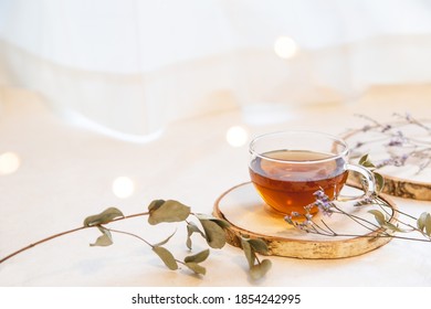Drink tea at home. Relaxation, home time, and break tea time at home.
 - Shutterstock ID 1854242995