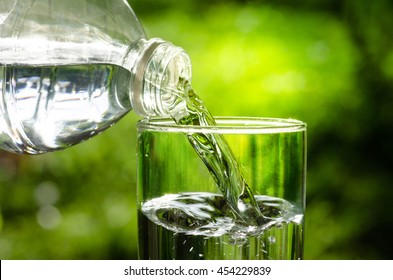 Drink water pouring in to glass over sunlight and natural green background - Shutterstock ID 454229839