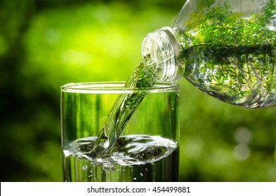 Drink water pouring in to glass over forest natural green background - Shutterstock ID 454499881