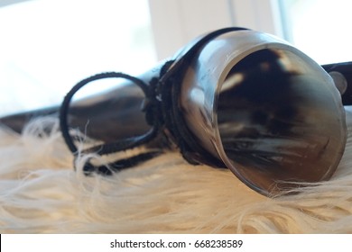 Drinking Horn