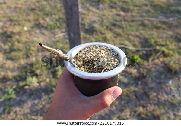 Drinking mate at sunset. Argentine mate to drink,\
infusion of herbs in a container that is drunk with hot water.\
Argentinian culture\
drink