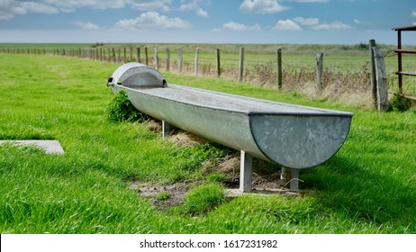 a drinking trough on the salt marshes of the north sea                              - Shutterstock ID 1617231982