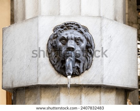 Drinking water in the city with a lion's bronze head tap for hot summer days