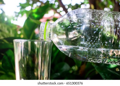 Drinking water from nature - Shutterstock ID 651300376