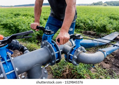 Drip irrigation system. Water saving drip irrigation system being used in a young carrot field. Worker opens the tap. Agricultural background