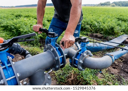 Drip irrigation system. Water saving drip irrigation system being used in a young carrot field. Worker opens the tap. Agricultural background