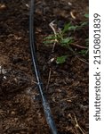 Drip irrigation or trickle irrigation is a type of micro-irrigation system that has the potential to save water and nutrients by allowing water to drip slowly to the roots of plants, either from above