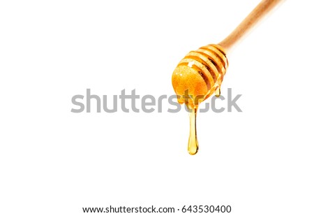 dripping honey on wooden dipper white background with room for copy space