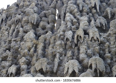 436 Dripstone Wall Images, Stock Photos & Vectors | Shutterstock