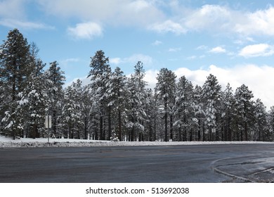 Drive Through Grand Canyon National Park