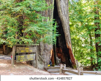 Humboldt County Images Stock Photos Vectors Shutterstock