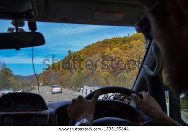 driver behind the\
wheel of the car inside\
view