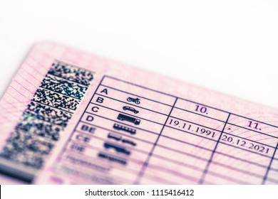 the driver driving license, categories and valid period dates