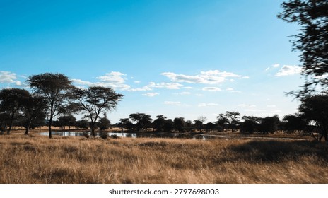 A driver travels through Namibia while observing vast grasslands and scattered trees near a water body under the blue sky.