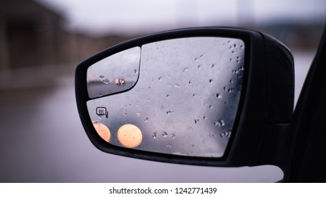 Drivers Sideview Mirror