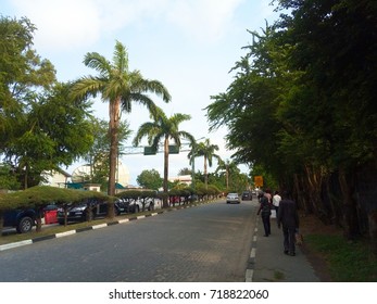 Driveway with trees